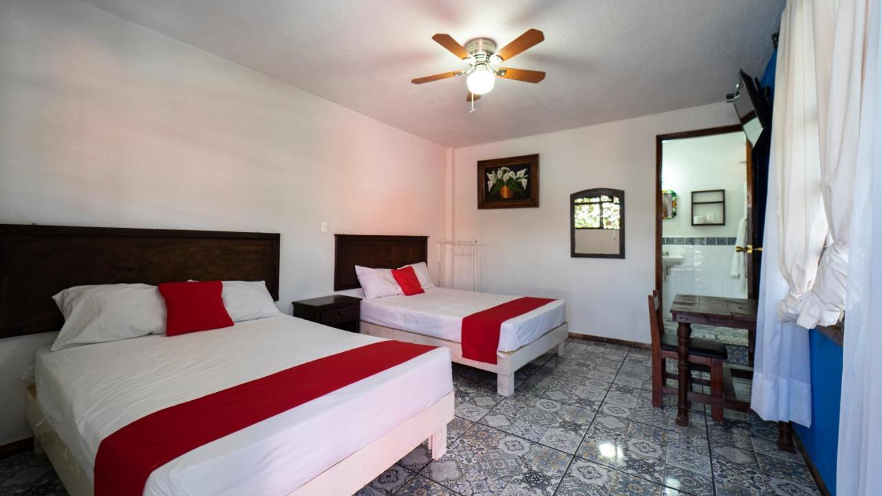 Hotel Posada Bugambilias San Luis Potosi Bagian luar foto
