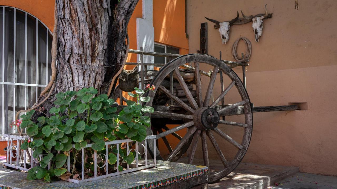 Hotel Posada Bugambilias San Luis Potosi Bagian luar foto