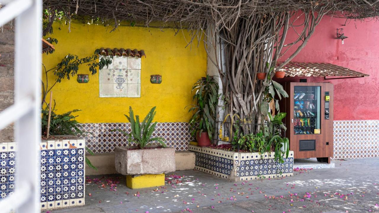 Hotel Posada Bugambilias San Luis Potosi Bagian luar foto