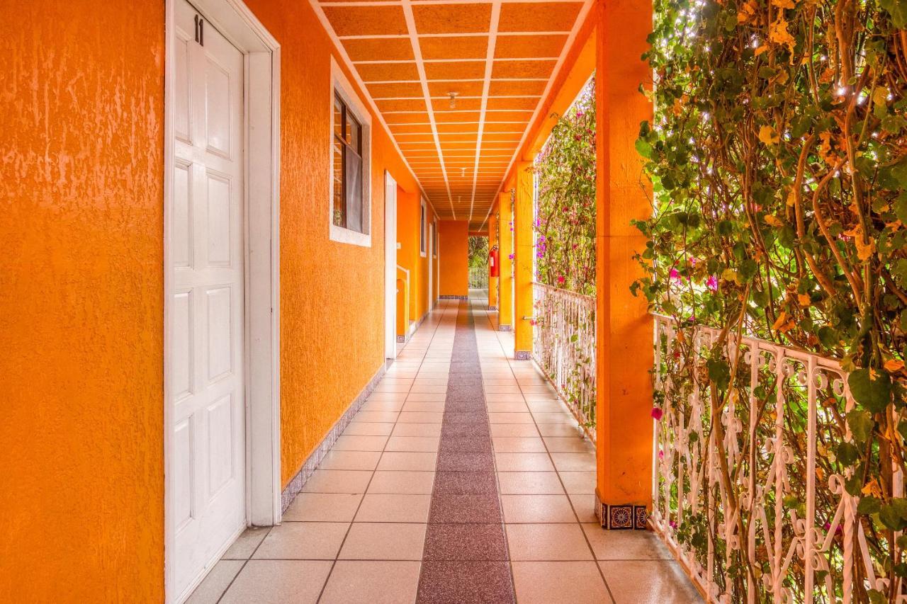 Hotel Posada Bugambilias San Luis Potosi Bagian luar foto